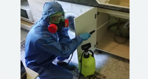 Уничтожение муравьев в квартире. Жигулевск