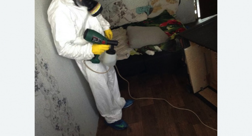 Обработка квартир от насекомых в Жигулевске