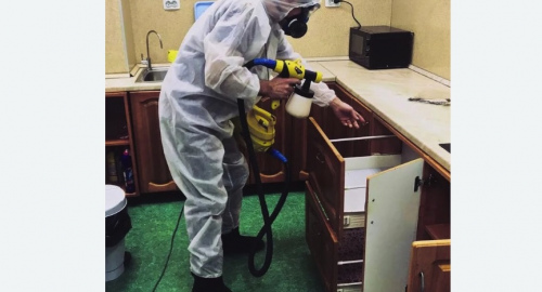 Дезинсекция квартиры. Жигулевск