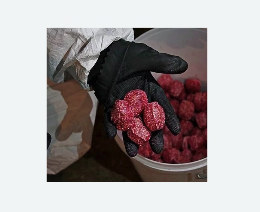 Обработка от крыс в Жигулевске