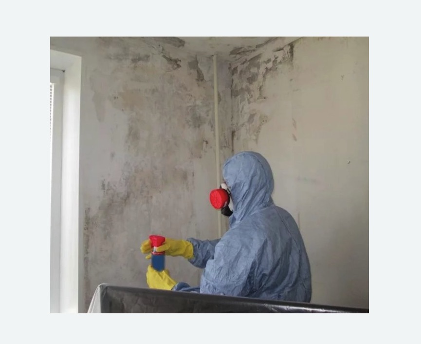 Удаление плесени в квартире в Жигулевске