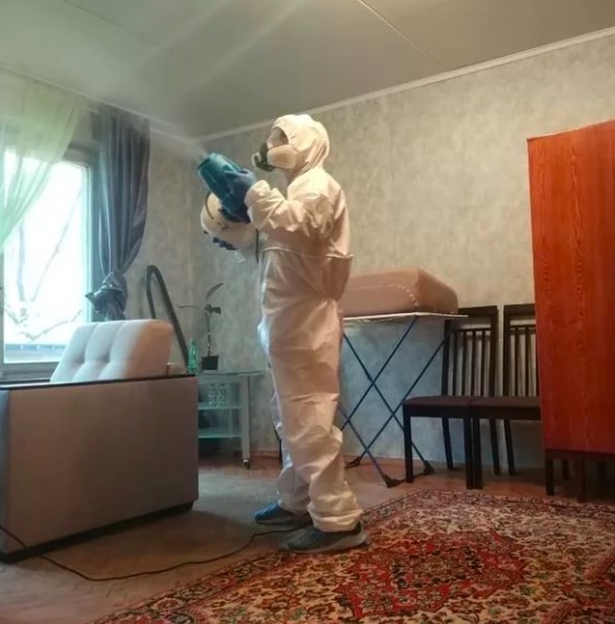 дезинсекция квартиры в Жигулевске