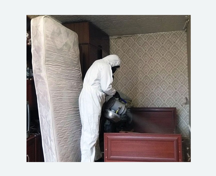 дезинфекция от клопов в Жигулевске