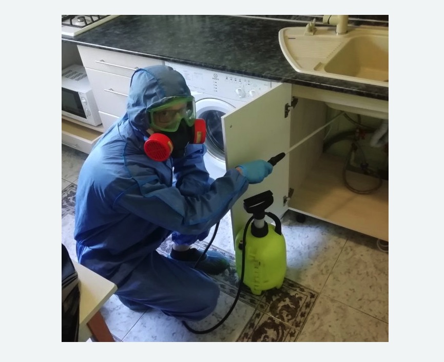 обработка от муравьев в квартире в Жигулевске