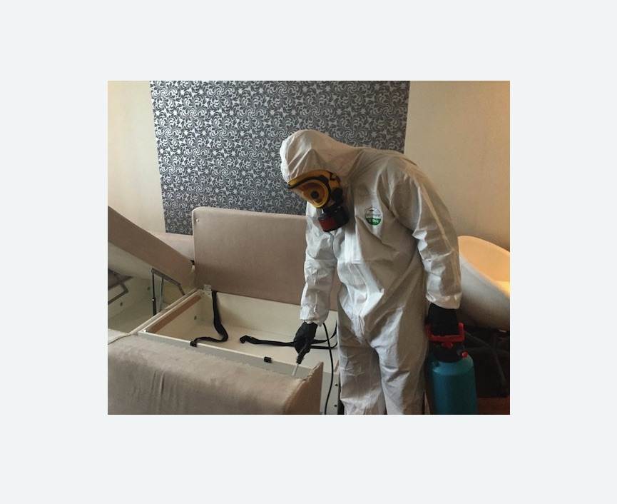 уничтожение клопов в квартире в Жигулевске