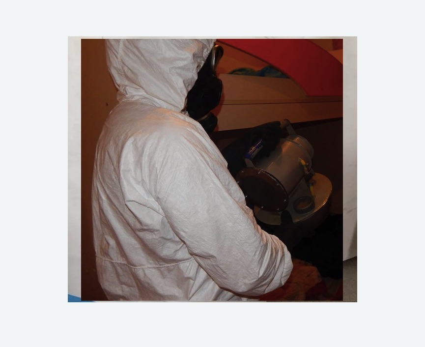 Дезинфекция от муравьев в Жигулевске