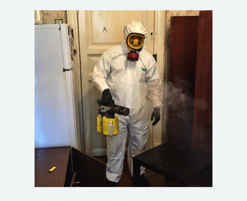 уничтожение муравьев в квартире в Жигулевске